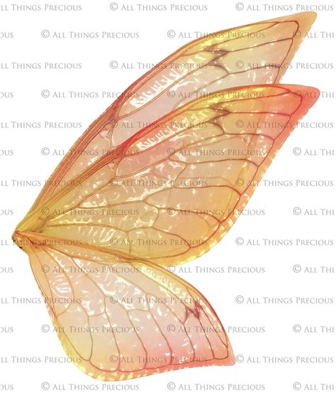 printable fairy wings set  print pattern template clipart etsy