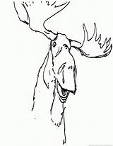 Moose Pages Coloring 123coloringpages Animal sketch template
