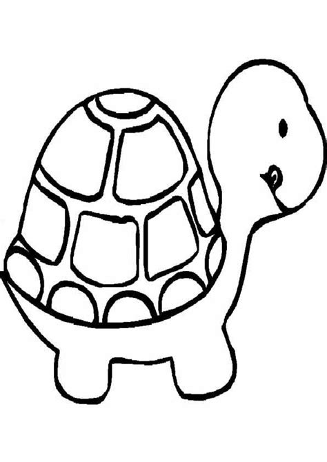 turtle coloring pages farm animal coloring pages preschool coloring