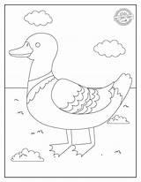 Duckling sketch template