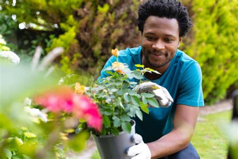 smiling young african american man holding potted plant  gardening