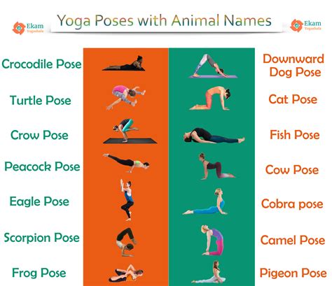 yoga poses  animal names yogaposes