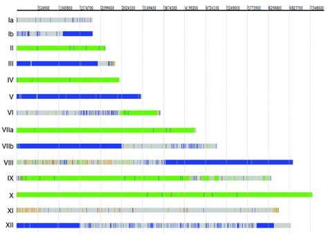 snp distribution in tgckug2 the genomic sequence of