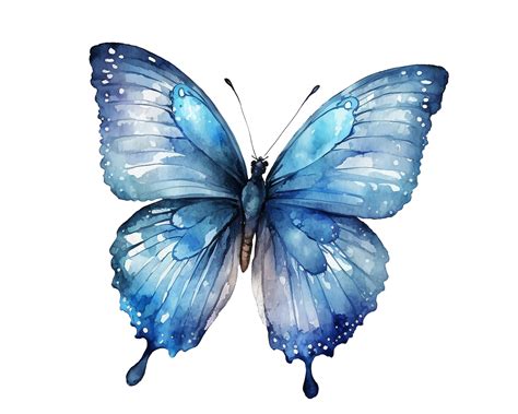 blue butterfly clipart png  png files  transparent background