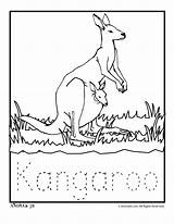 Kangaroo Preschool K3 Sticky Kleurplaten Read Kleurplaat sketch template