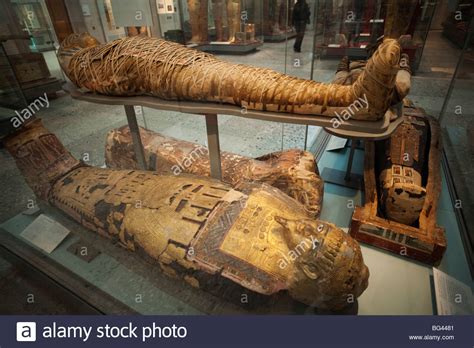 England London British Museum Egyptian Mummies Stock