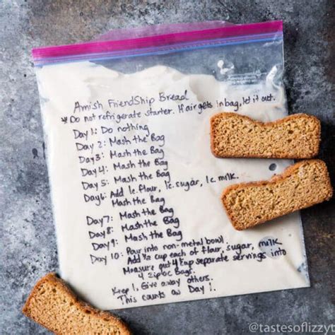 Amish Friendship Bread Starter Recipe {hints For Storing And Using This