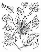 Leaves Coloring Pages Fall Printable Print Theme Pile Color Drawing Getcolorings Leaf Getdrawings Pumpkin Colorings sketch template