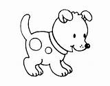 Cachorro Cagnolino Piccolo Perrito Dibujos Pequeño Gosset Cachorros Disegni sketch template