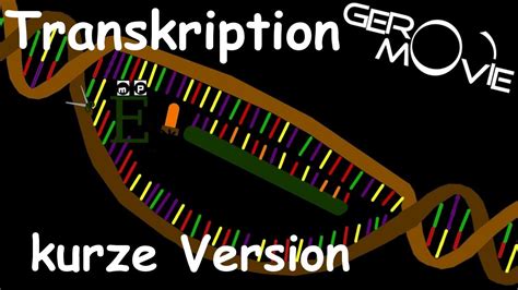 transkription biologie geromovie kurze version youtube