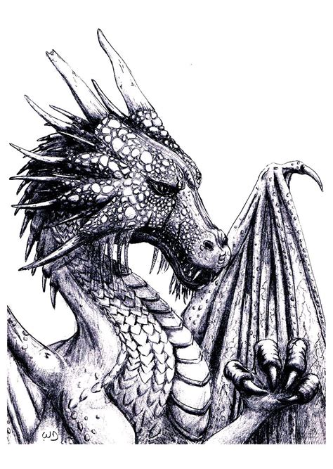 easy dragon coloring pages  adults pics colorist