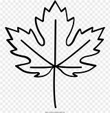 Leafs Cliparts Nicepng sketch template