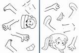 Body Coloring Pages Parts Preschool Printable Getcolorings sketch template
