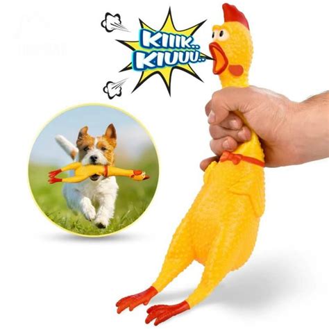 buy screaming chicken squeaky funny dog toy  kenya pets