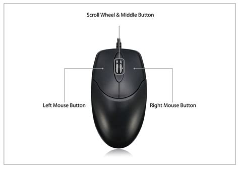 mouse button control  mac paulrenew