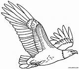 Eagle Coloring Pages Printable Kids Cool2bkids sketch template