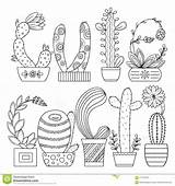 Cactus Coloring Vector Contour Scribble Linear Background Cute Book Fo Adults Floral Painting Illustration sketch template