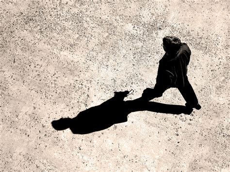 man walking  shadow photograph  lane erickson