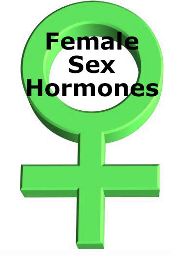 Female Sex Hormones Stop The Thyroid Madness
