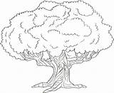 Coloring Tree Life Pages Celtic Getcolorings sketch template