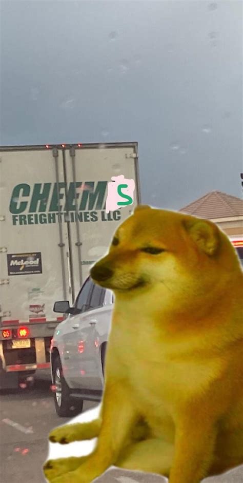pin de grayjustvibing en cheems memes inteligentes perros wallpaper