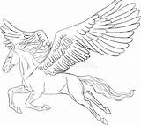 Pegasus Pegaso Farbtonseite Kleurende Pferd Realistic Sidan Färga Coloritura Illustrationer Tagel Einhorn Paard Dier sketch template