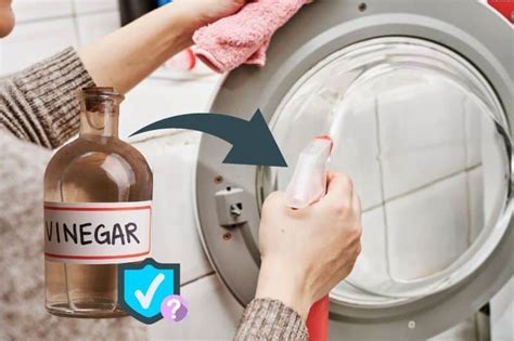 safe   vinegar   washing machine