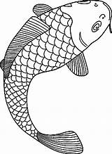 Fish Coloring Pages Koi Fishing Bass Realistic Boat Printable Outline Coy Drawing Adults Carp Coloring4free Lure Template Angel Colouring Color sketch template
