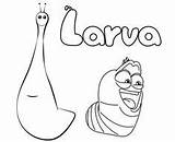 Larva Pages Larve Animation Coloringpagesfortoddlers sketch template