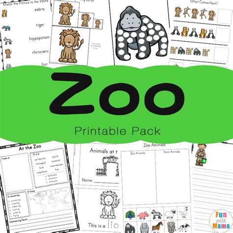 top  zoo animals worksheets  kindergarten