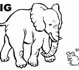 Coloring Pages Opposites Big Small Colouring Getdrawings Color Getcolorings sketch template