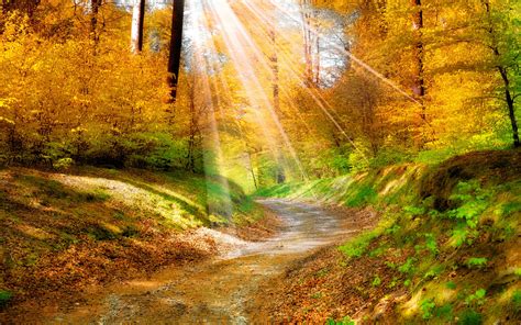 sunlight picture wallpaper high definition high quality widescreen
