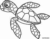 Turtle Coloring Sea Cute Cartoon Pages Drawing Loggerhead Hatchling Turtles Adults Adult Clipartmag sketch template