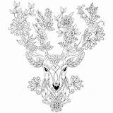 Coloring Deer Pages Adult Cute Printable Colouring Head Ms Adults Color Books Getcolorings Print Template Info sketch template
