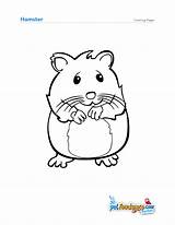 Hamster Hamsters Printable Getdrawings A4 Squirrel sketch template
