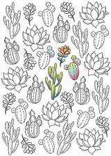 Plant Succulents Savane Colouring Ebooks Tshirtcraftsdiy Kaynak sketch template