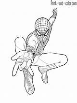 Spider Man Coloring Pages Color Print sketch template