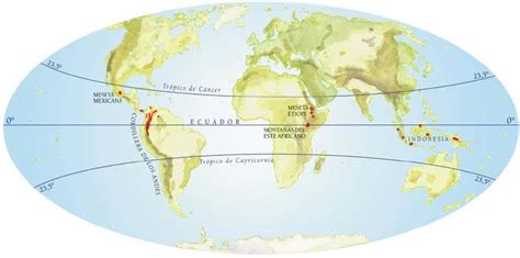 Trópicos De Cáncer Y Capricornio Definiciones Y Conceptos