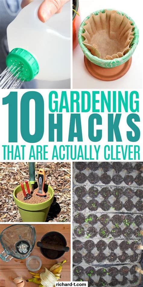 10 genius garden hacks you need to try today in 2020 gardening tips