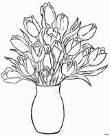 Vase Flower Drawing Flowers Vases Roses Rose Coloring Pages Sketch Tulip Bouquet Drawings Yellow Painting Step Without Table Getdrawings Plant sketch template