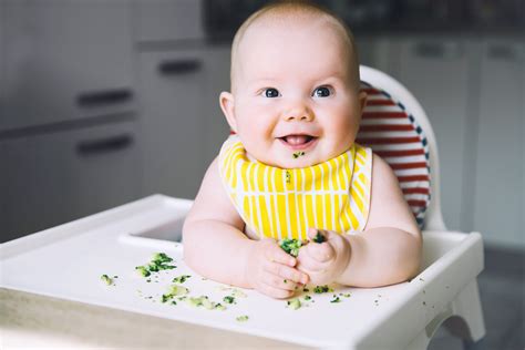 baby led weaning       started  clinic dietitian