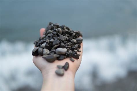 pro tips  buy bulk river rocks pricing  gardentoolsbest