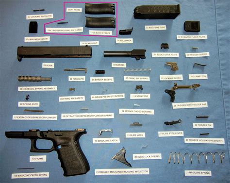glock fully dis assembled  labeled  reference