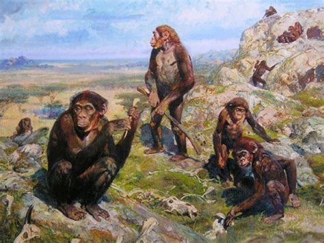 los primeros hominidos sabian adaptarse  los cambios medioambientales mundo ur  mundo de