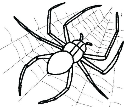 halloween spider coloring pages printable  getcoloringscom