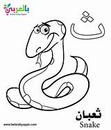 Arabic Coloring Alphabet Pages Letter Saa Preschoolers Worksheets Belarabyapps Kindergarten sketch template