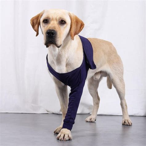 dog recovery sleeve front leg knee brace  surgery wear hip  thigh wound protective