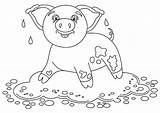 Mud Piggy Puddle Grappige Leugens Vulklei Varken Glimlachen Lustige Stellung Kleurende Boekpagina sketch template
