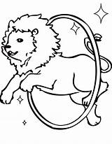 Circus Coloring Pages Lion Animal Getcolorings Printable sketch template