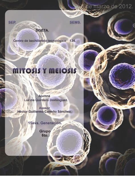 Mitosis Y Meiosis